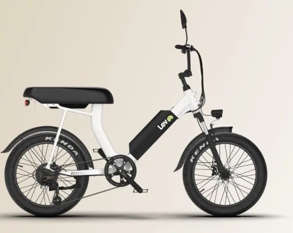 CRUISER LEV- 700W - Foto 3