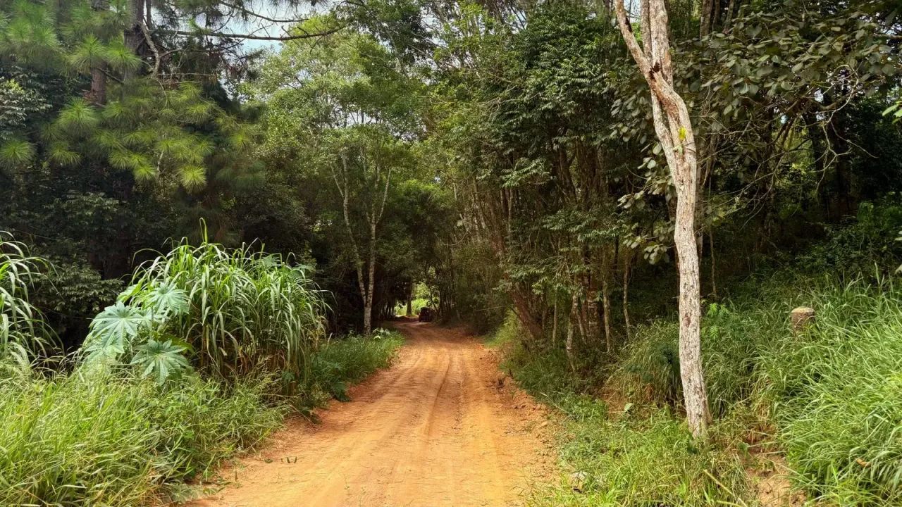Invista no interior de SP com lotes a partir de R$ 45 mil! - Foto 11