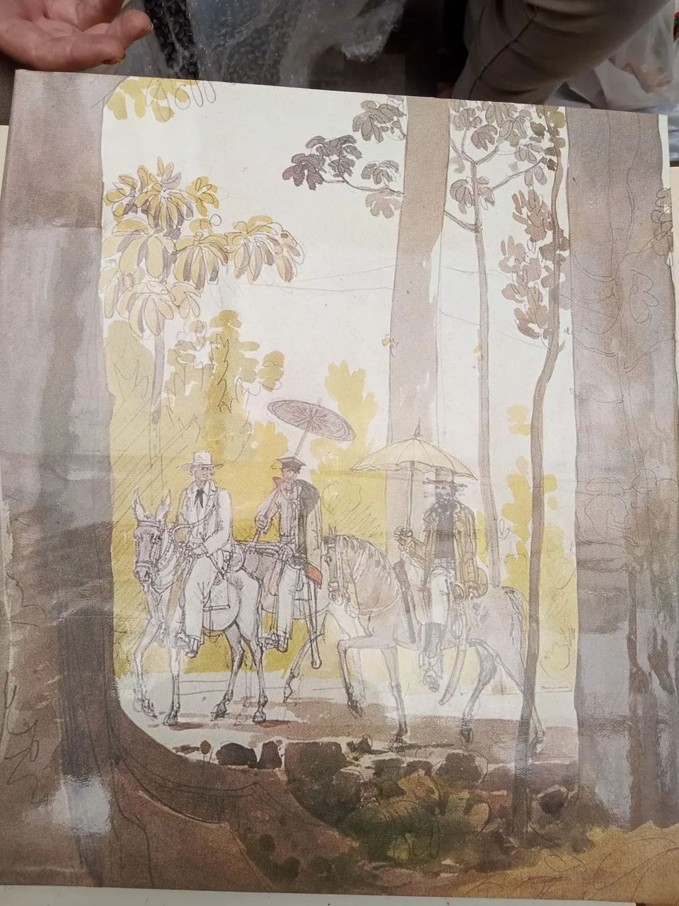 O Brasil de Thomas Ender1817.