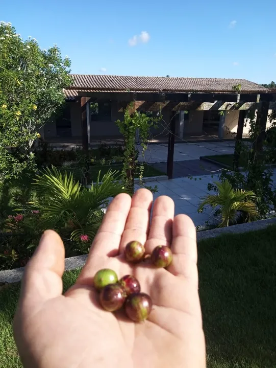 Vendo Chácara no município Itaporanga, com piscina, campo, auditório, bem localizado.
