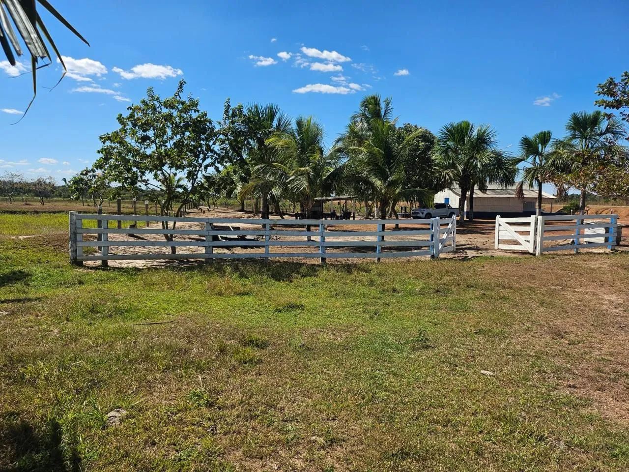 Foto - Porto Velho - Lagoinha