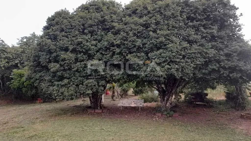Chácara à venda em São Carlos com 2 dormitórios e pomar - Foto 5