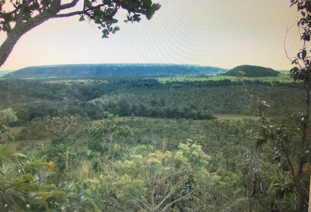 Área rural de 142,4 ha