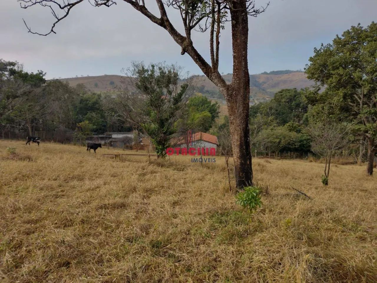 Terreno à venda, 20832 m² por R$ 1.100.000 - Barreiro - Taubaté/SP - Foto 10