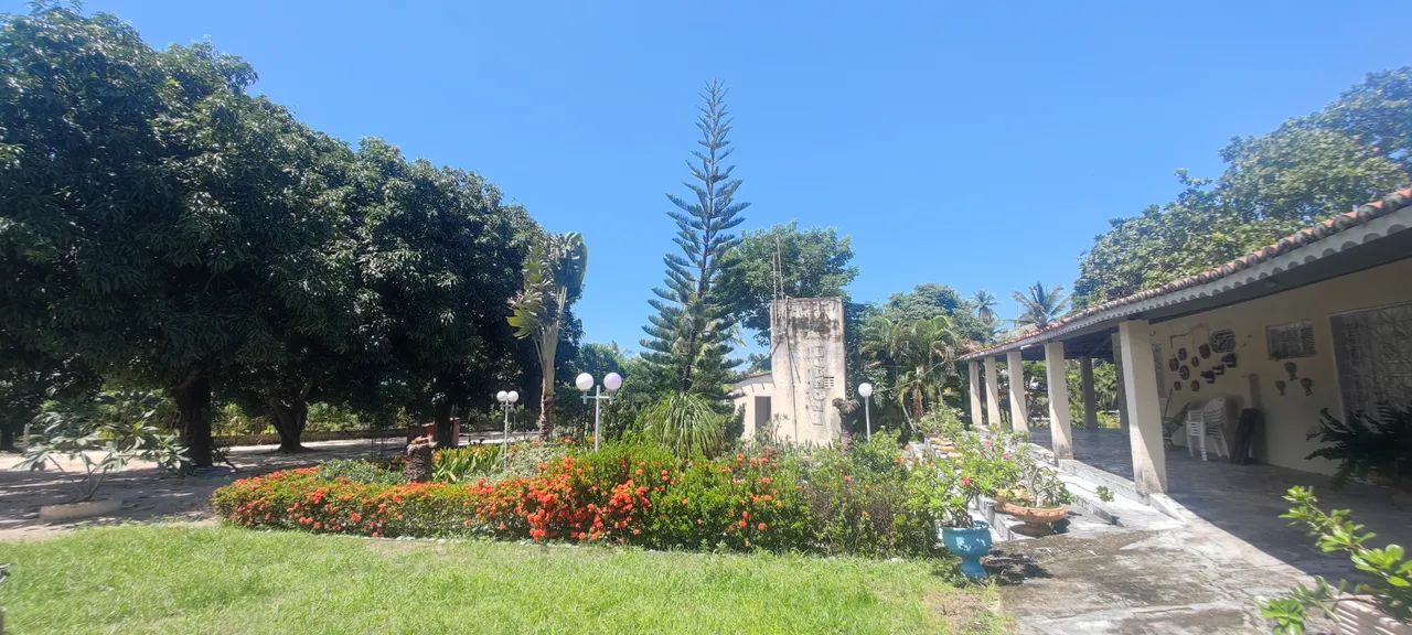 SÍTIO EM PINDORETAMA COM MUITAS BENFEITORIAS - Foto 5