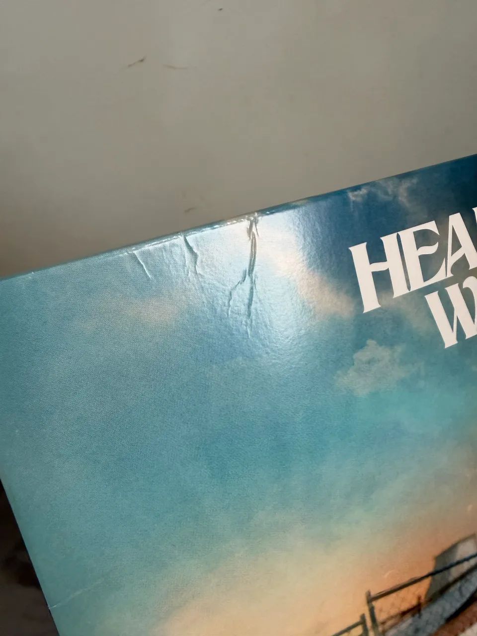 LP Niall Horan - Heartbreak Wheather vinil preto  - Foto 2