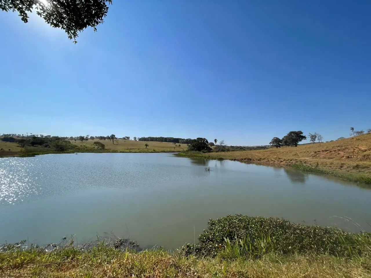 Imóvel para venda tem 2904000 metros quadrados com 5 quartos em Jardim Floresta - Trindade - Foto 5