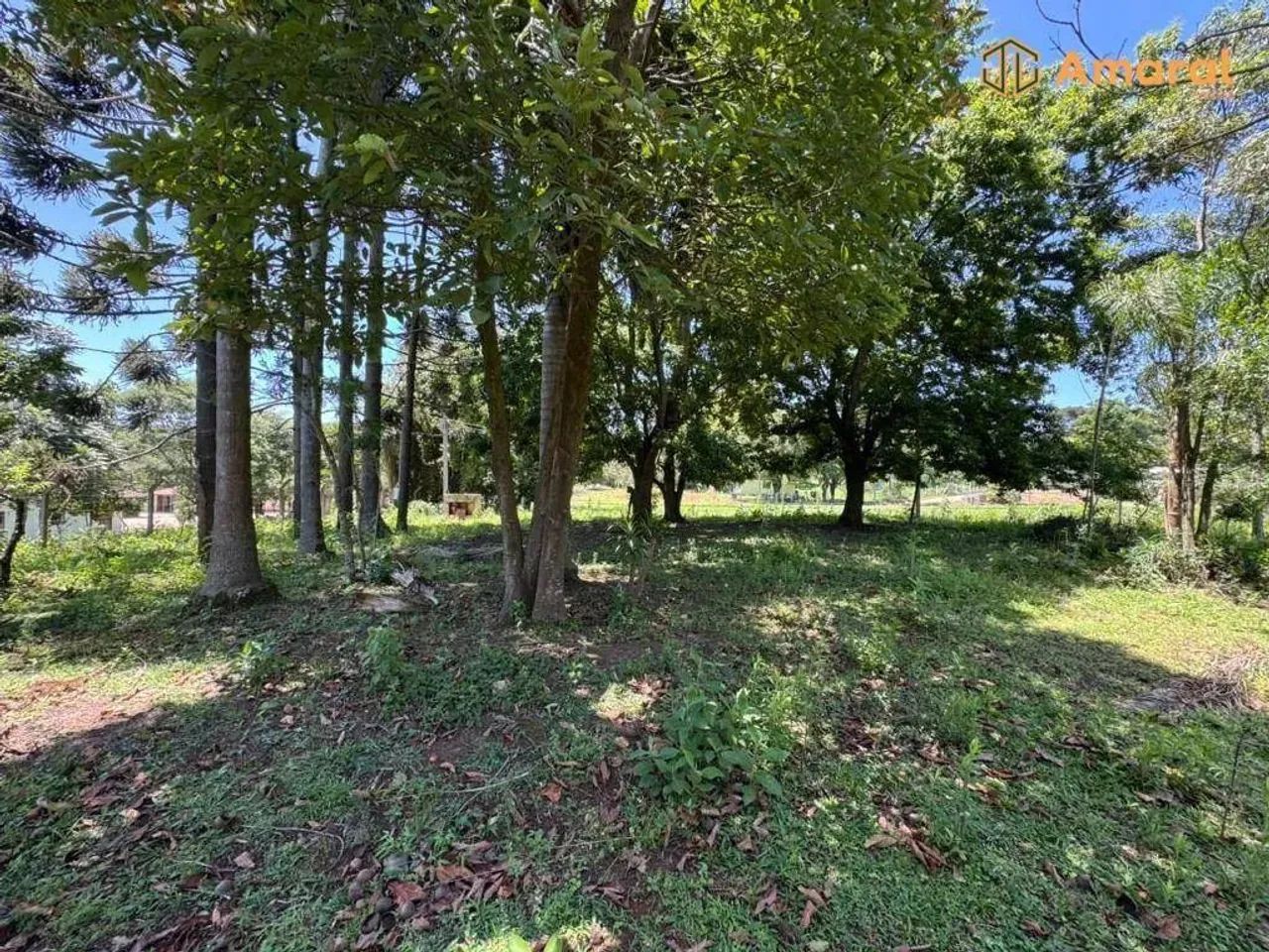 OPORTUNIDADE-100% PLANA - ASFALTADA - Foto 3