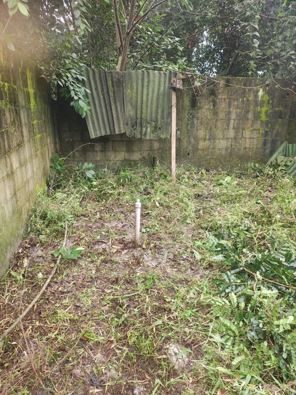 Vende se terreno já murado  - Foto 3