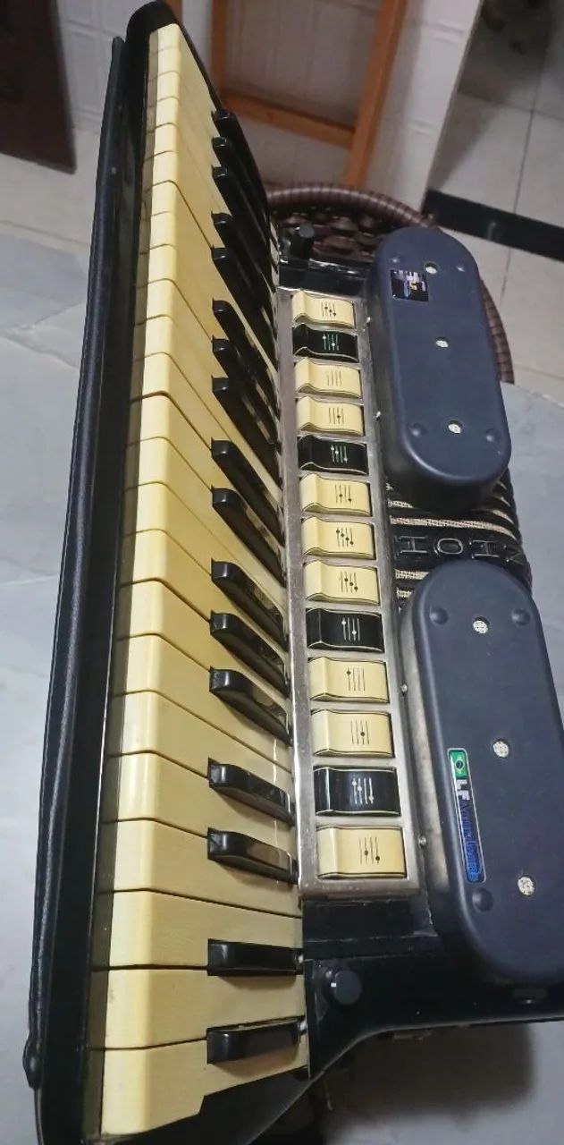 Sanfona 120 Hohner 
