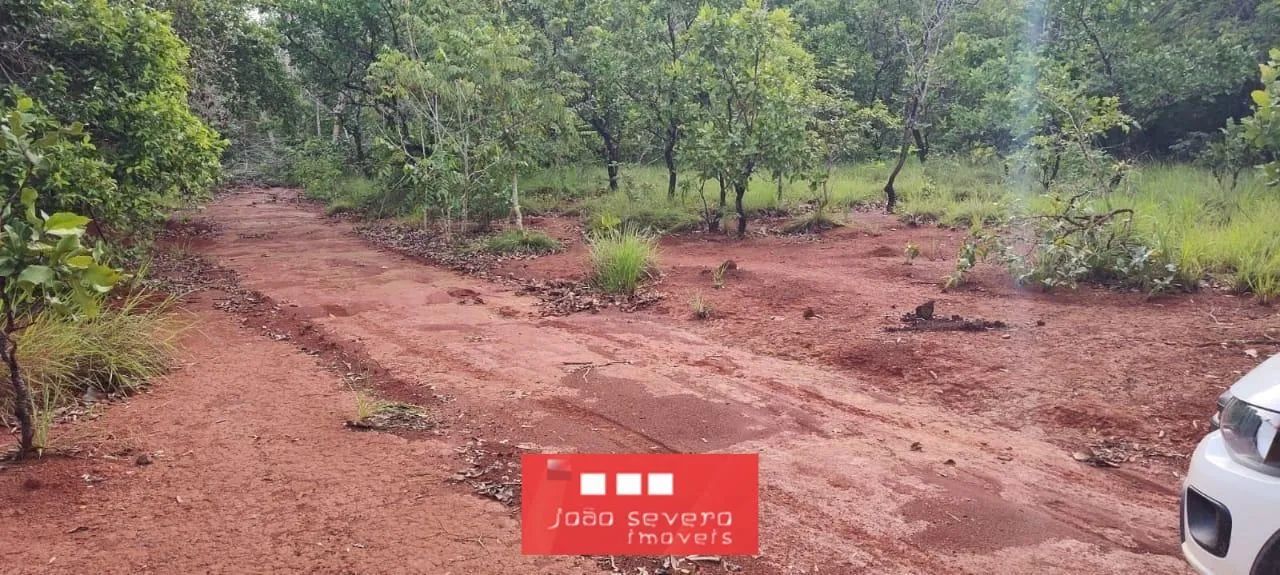 Fazenda para Venda em Araguacema - Foto 2