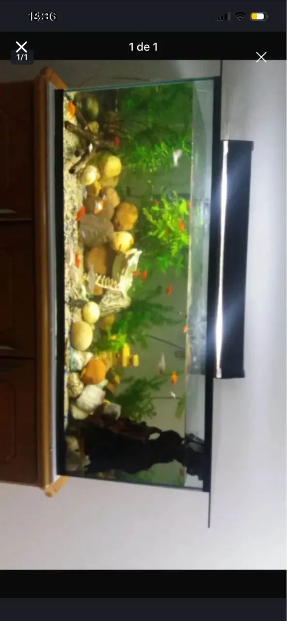 Aquário 250 litros - 400,00