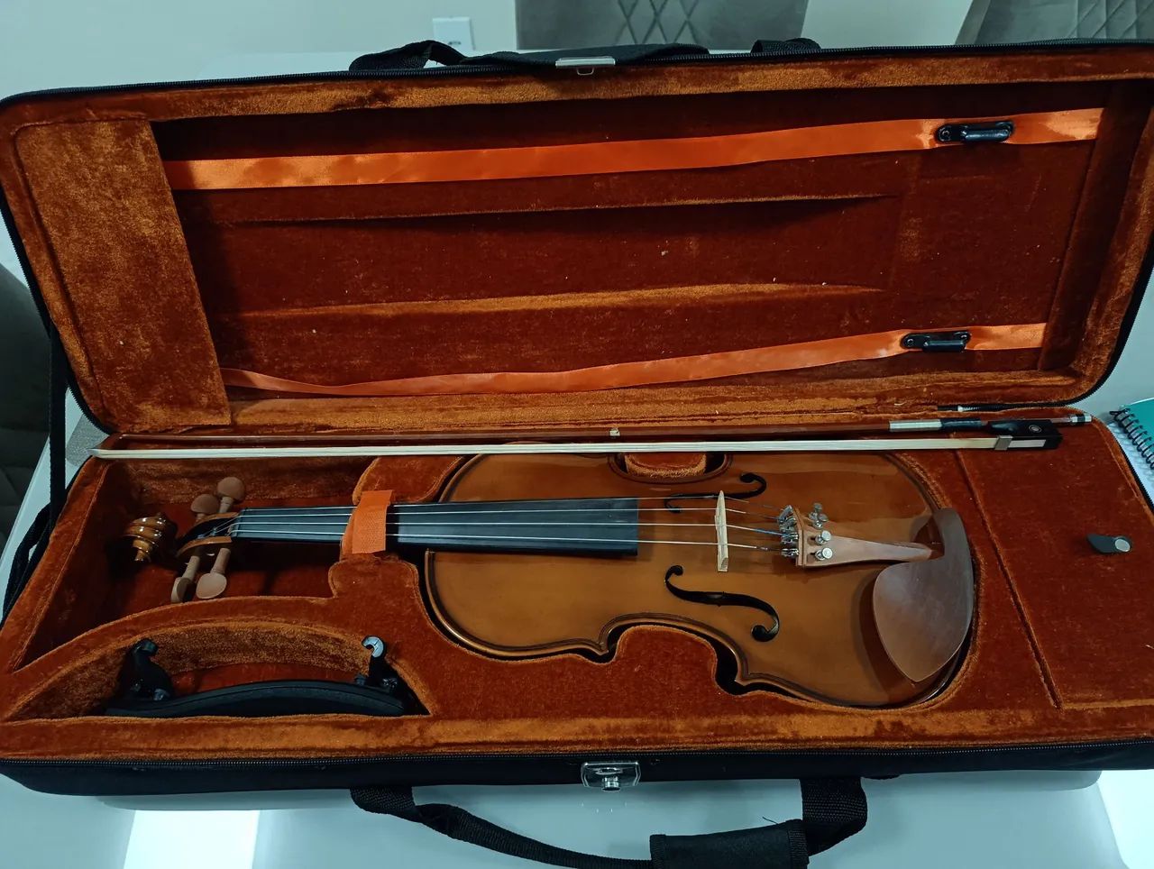 Violino 4×4  Eagle - Foto 2