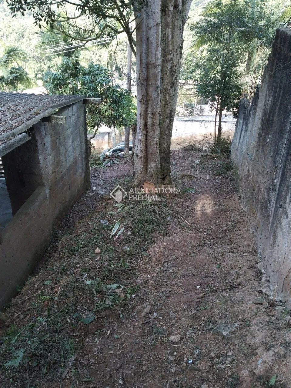 TERRENO - RIACHO GRANDE - SÃO BERNARDO DO CAMPO - Foto 4