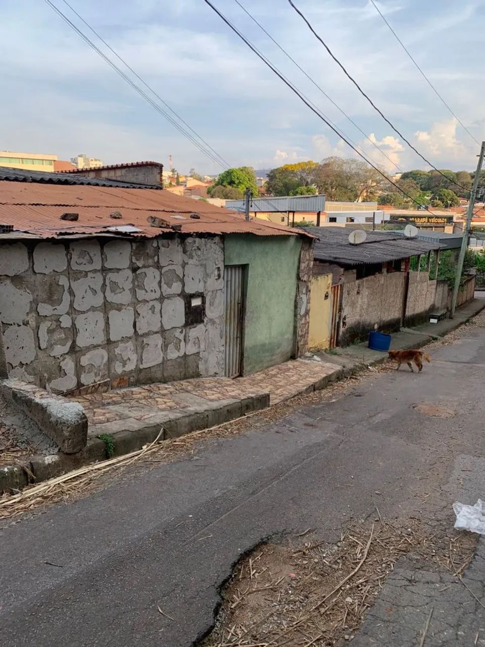Lote  - Foto 2