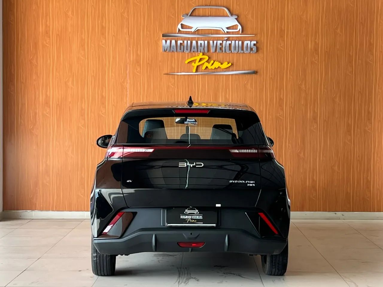 BYD Dolphin GS (Elétrico) 2027 - Foto 2