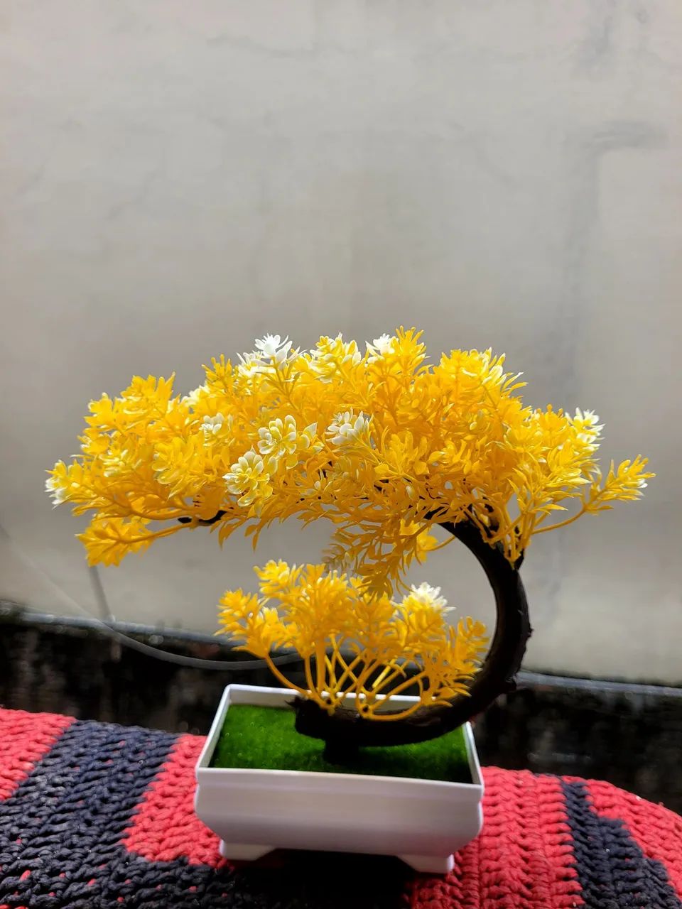 Bonsai's Lindos Decoração - Foto 3