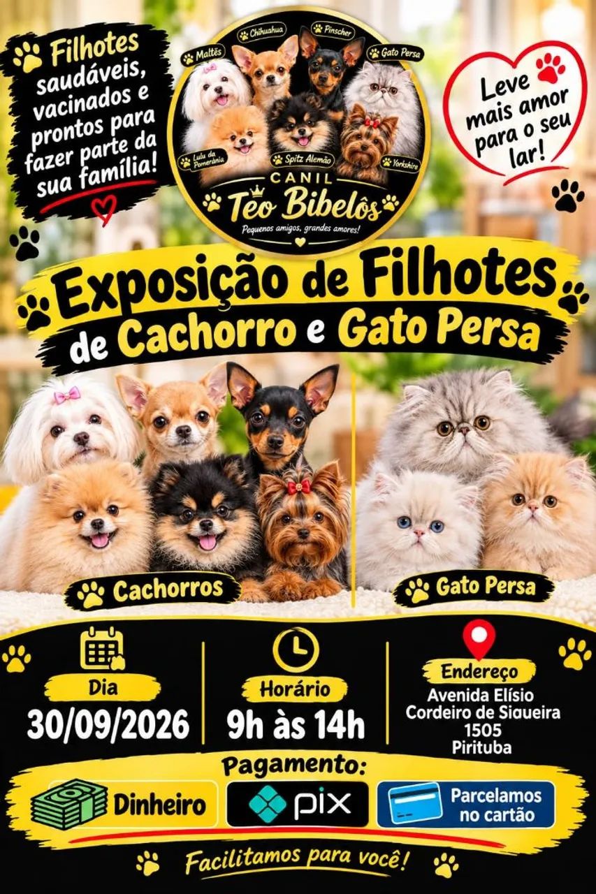 Exposição ?