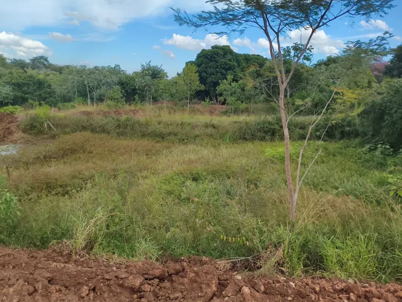 CÓD 593  Chácara à Venda | Sidrolândia /MS - Foto 5