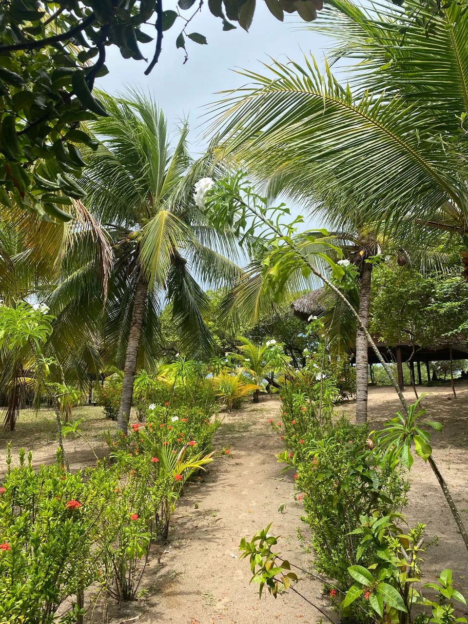 Terreno em Atins / lençóis maranhense  - Foto 2