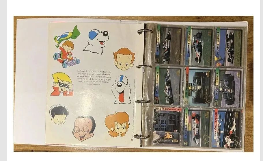 SENNA Perfil de um Heróiカードコレクション Fichário Cards - SENNA, Perfil de Herói - 1994 - Livros e revistas