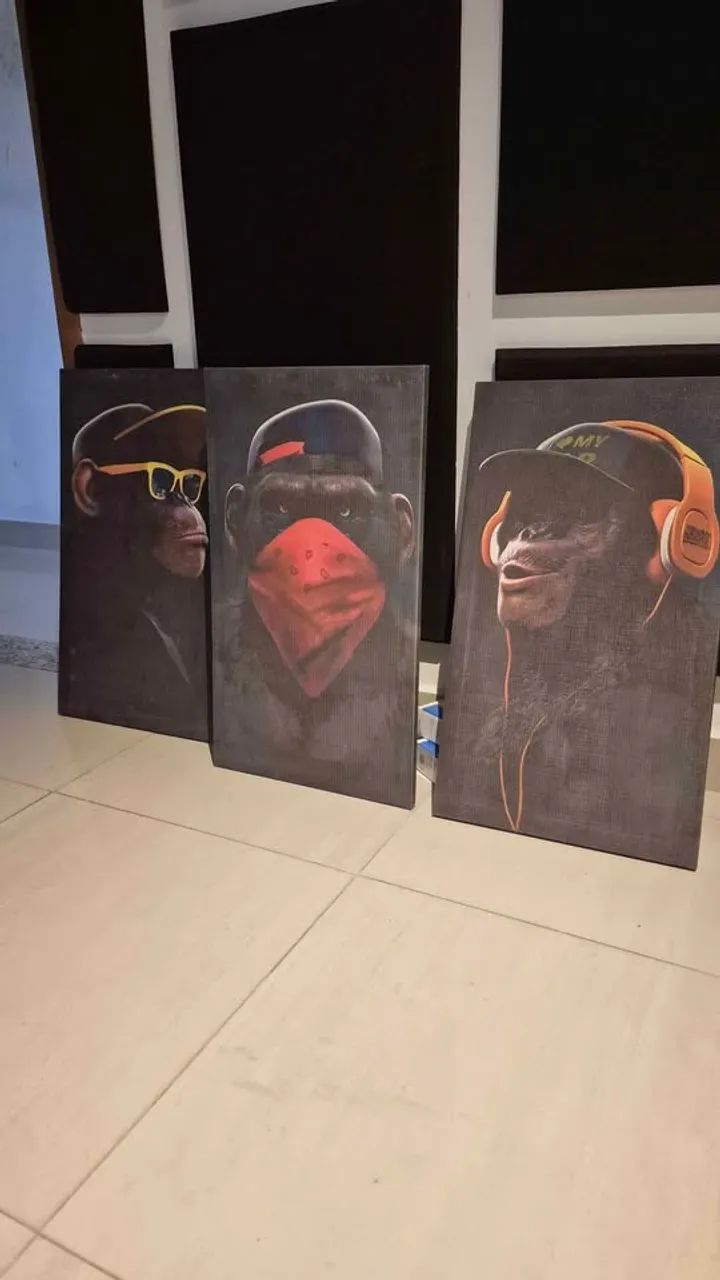 Kit 3 quadros 3 Macacos