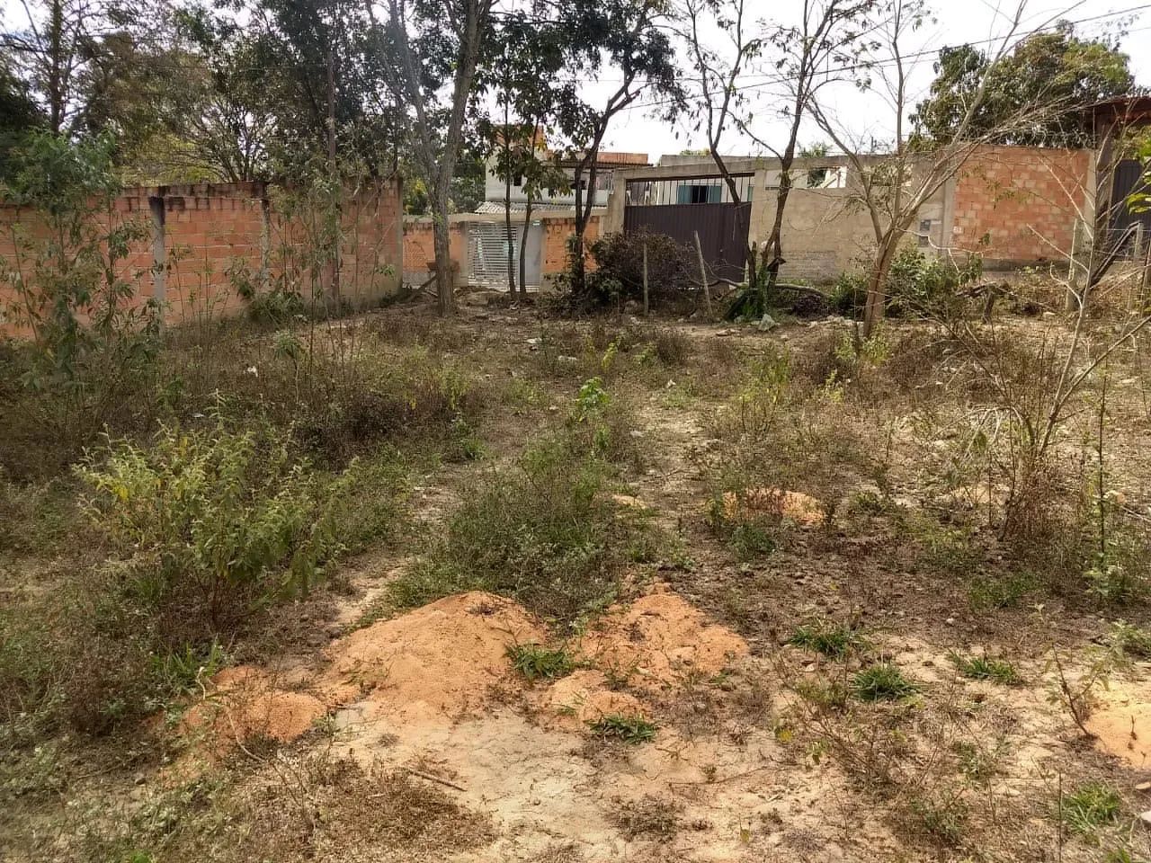 Chácara a venda  - Foto 3