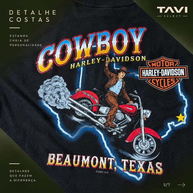 HARLEY-DAVIDSON RACING - 2002 - Foto 4