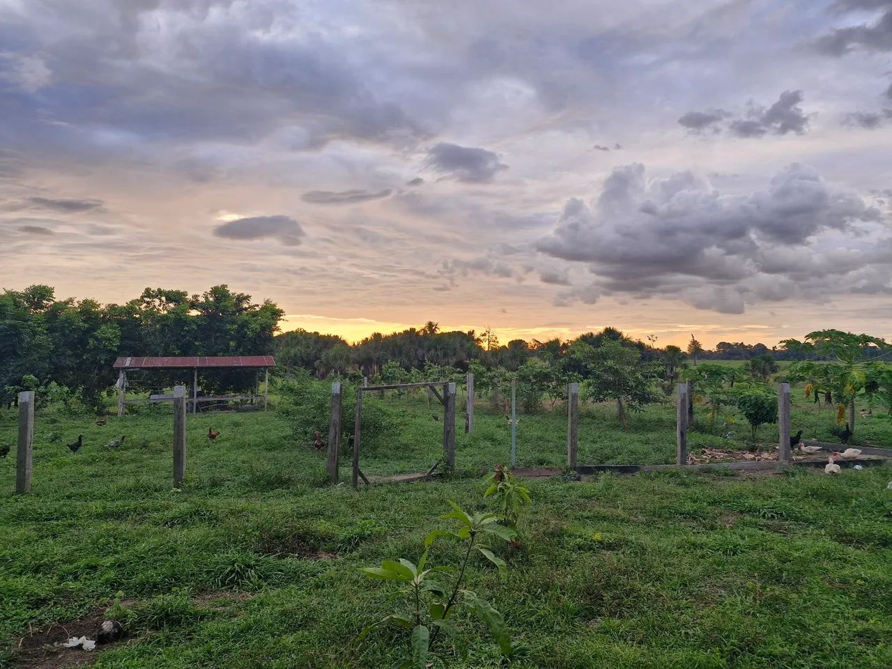 Vende se lote 60 hectares, na vicinal 16 km 7, próximo a Vila nova colina - Foto 4