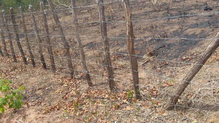 Terreno, com 1600m², excelente para chácara  - Foto 4
