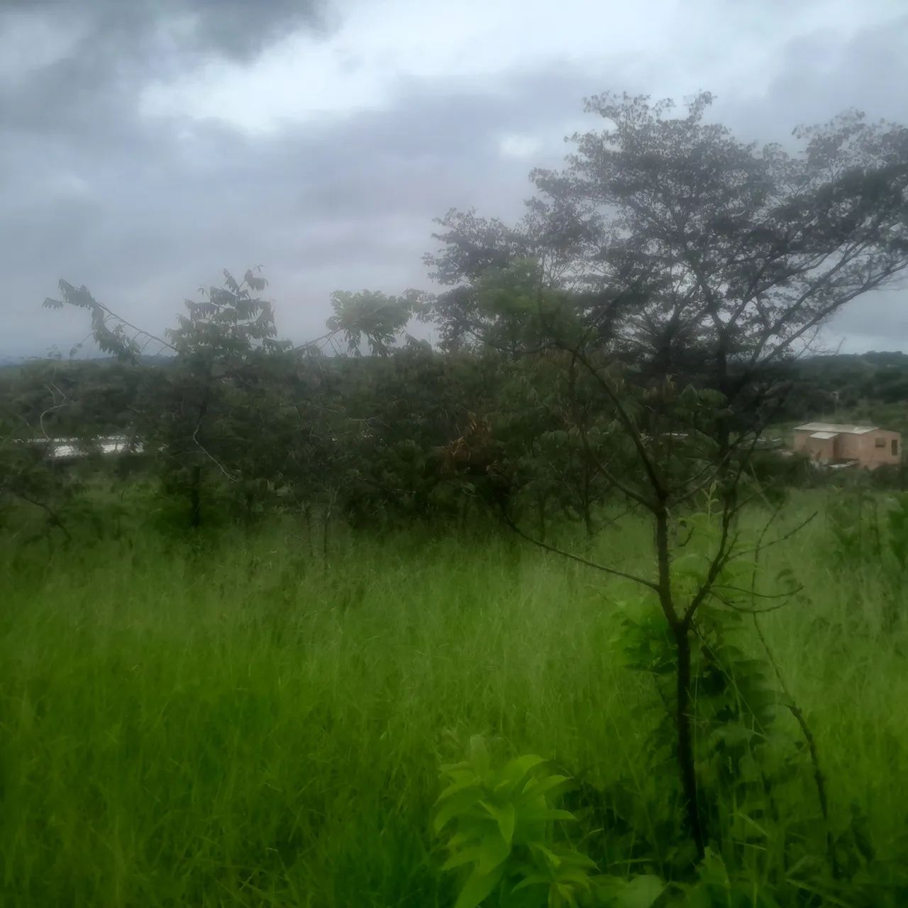 Lotes no bairro atalaia em mateus leme  - Foto 2