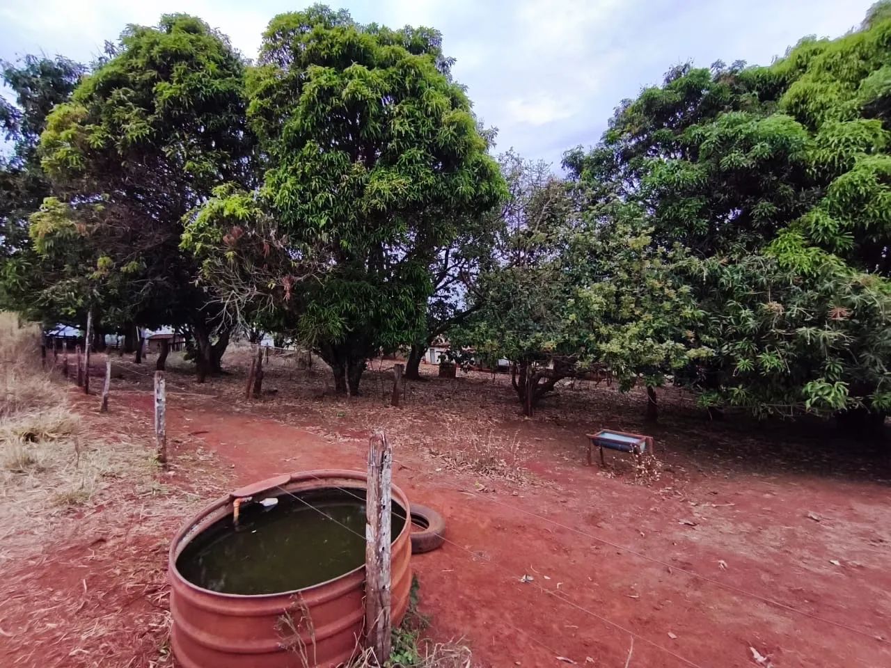 Fazenda à Venda  - Foto 3