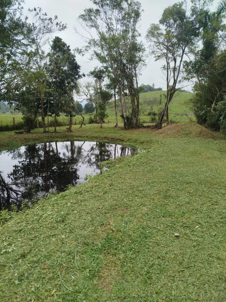 Terreno  - Foto 4