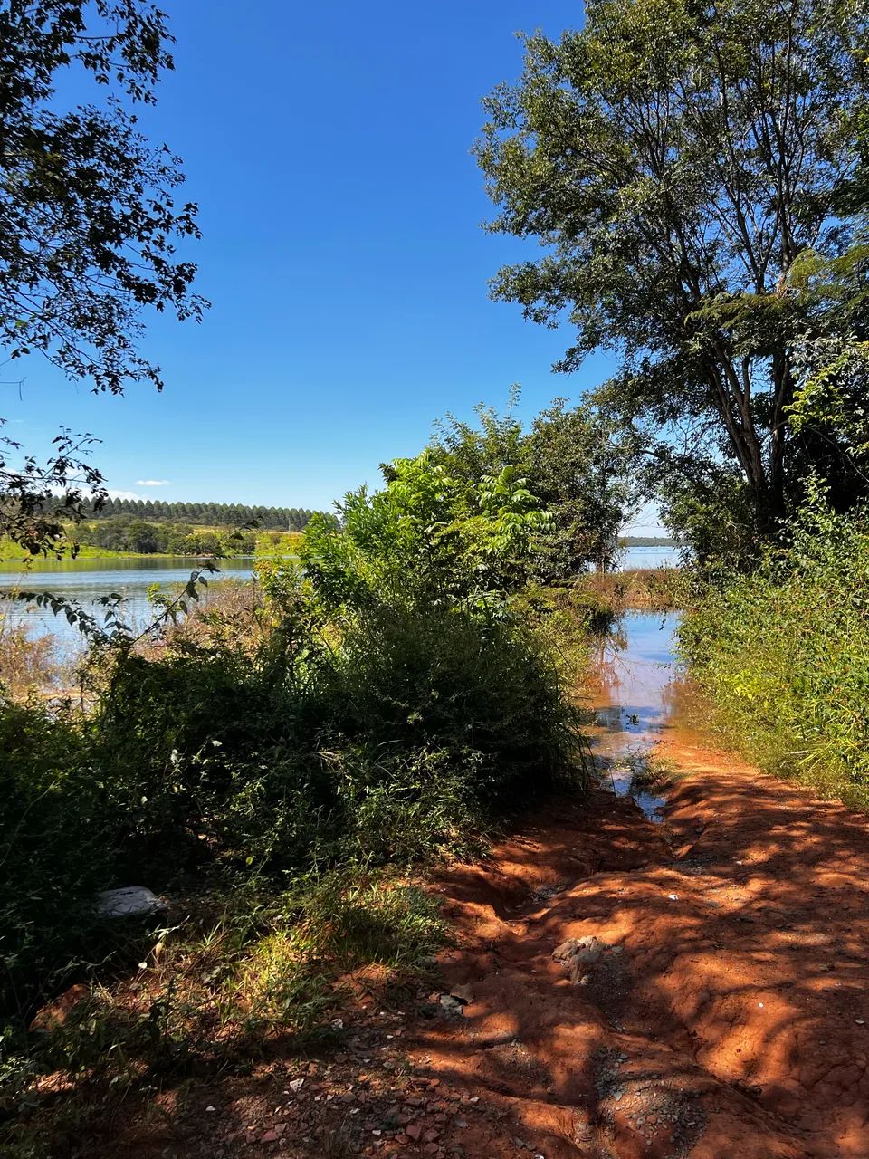 Lotes em Balneário Lago dos Cisnes - Foto 5