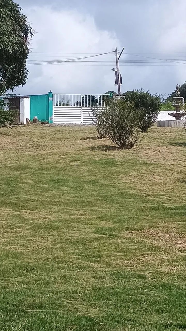 Vendo Sítio em Chã de Patinhos em Pombos-PE - Foto 2