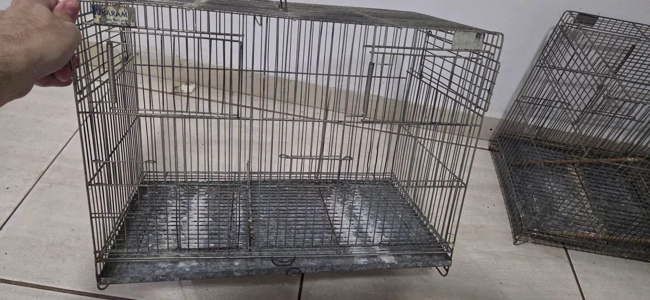 Gaiola criadeira aramil  - Foto 2