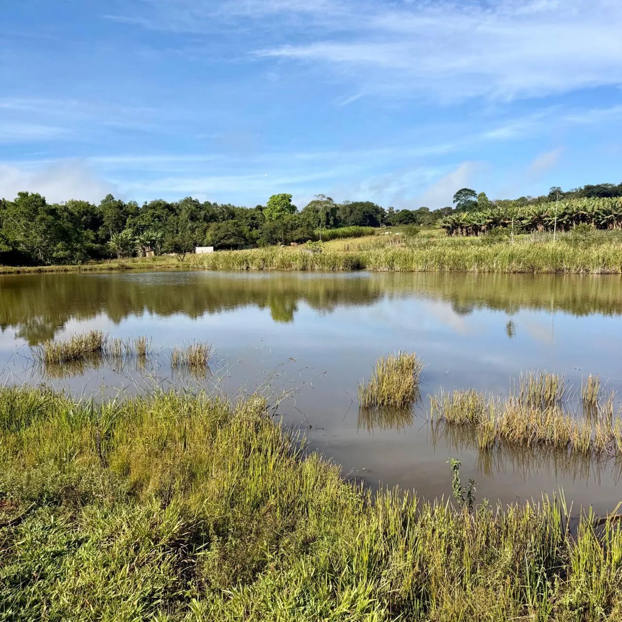Terreno 12.000m2 em Anápolis GO - Foto 4