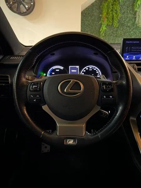 Lexus NX-300 H F-sport 2.5 16V Aut., foto 16 de 19