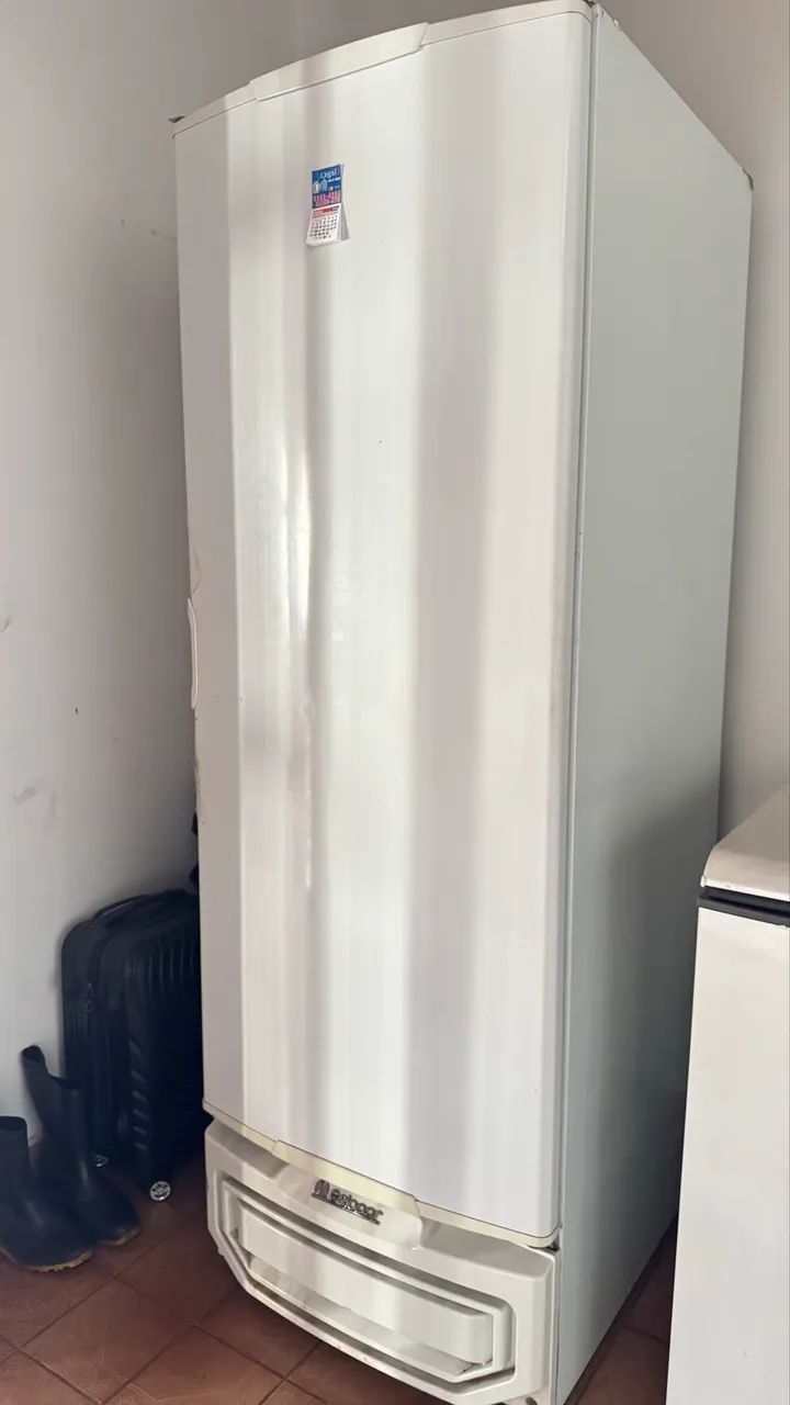 Frizer vertical por 3500,00