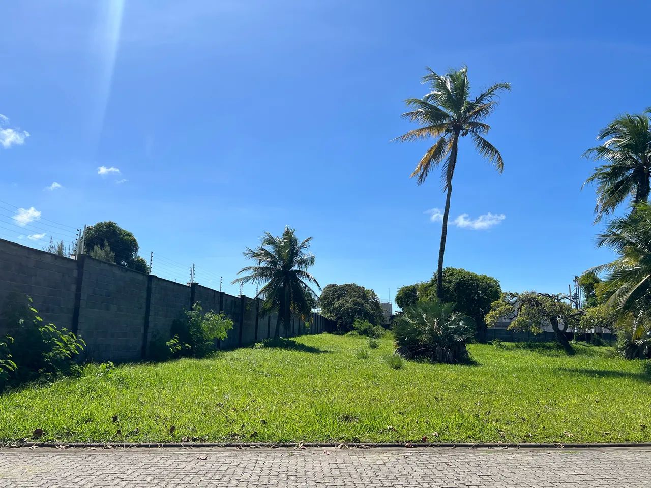Foto - Eusébio - Coité