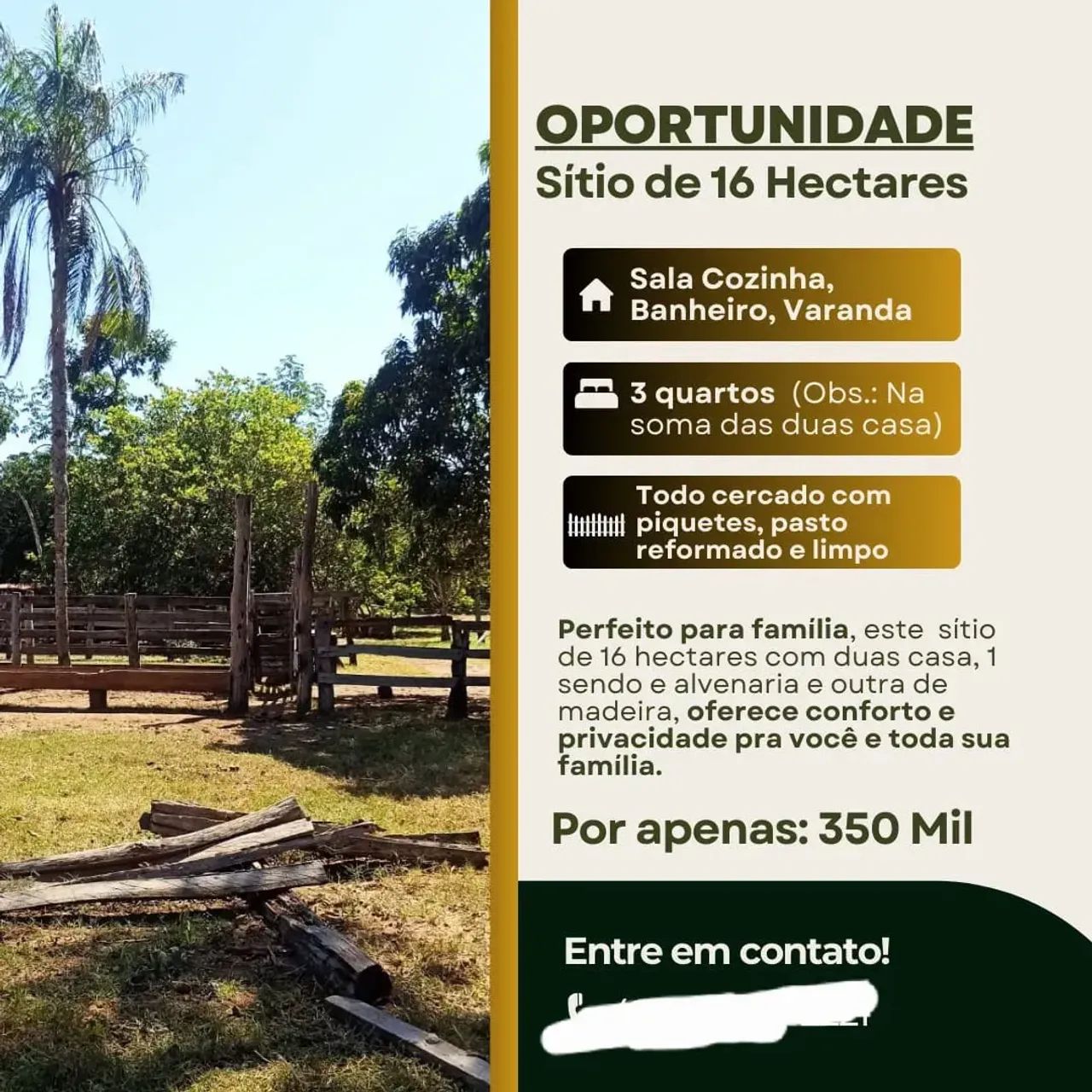 sitio de 16 hectares 350 - Foto 2