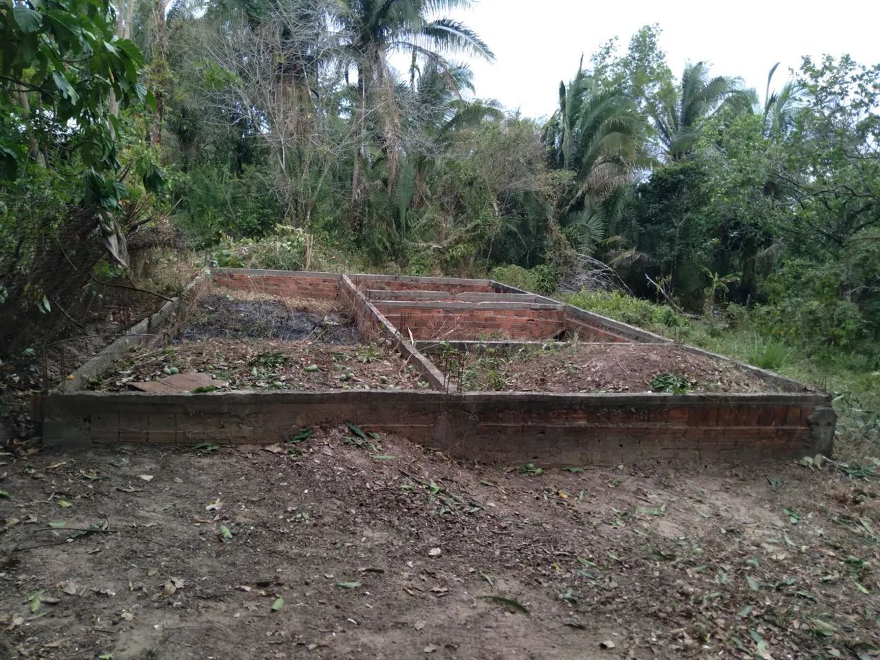Terreno no gapara  - Foto 5