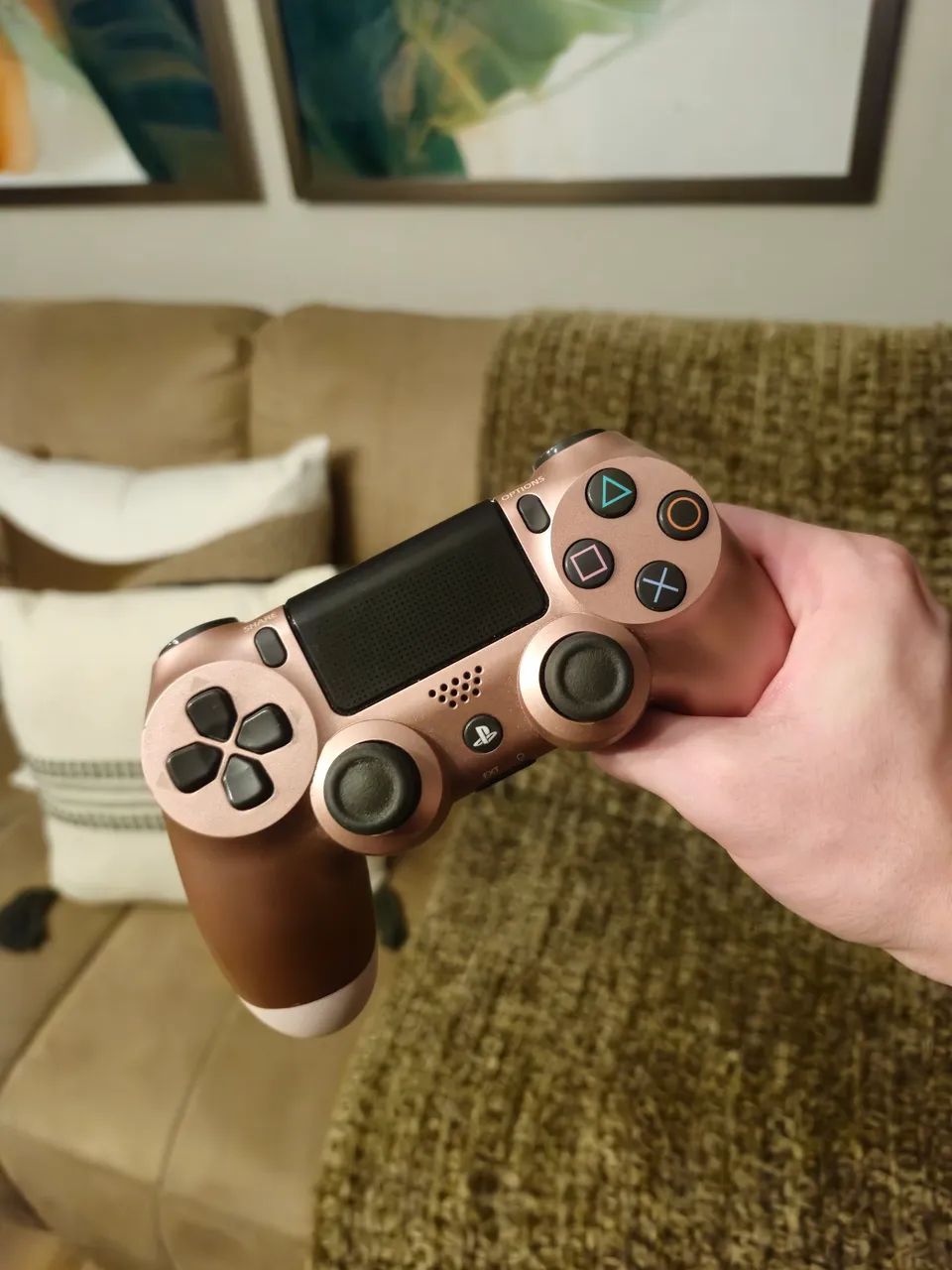 Controle PS4 DualShock 