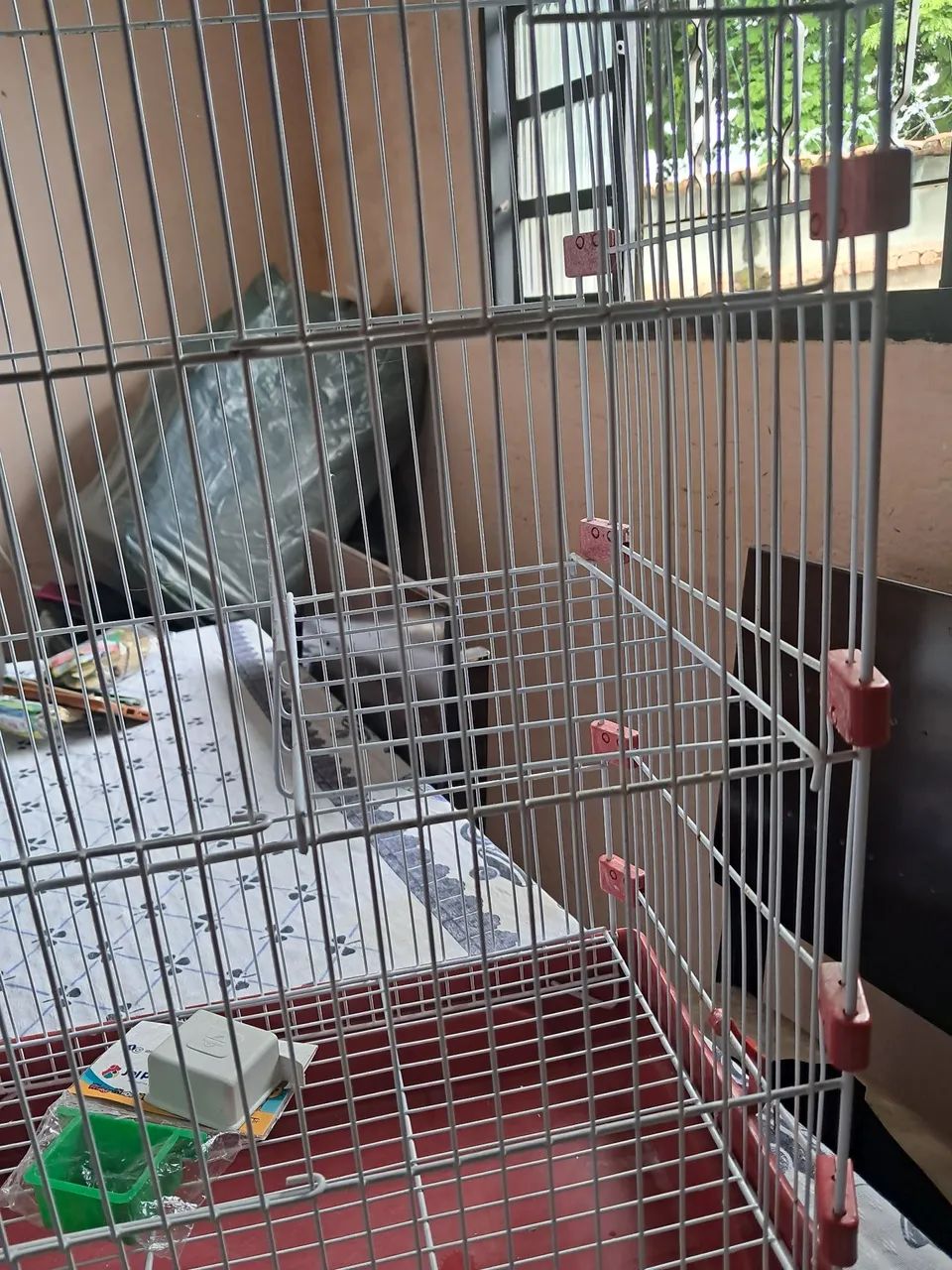 Gaiola grande para belga - Foto 3