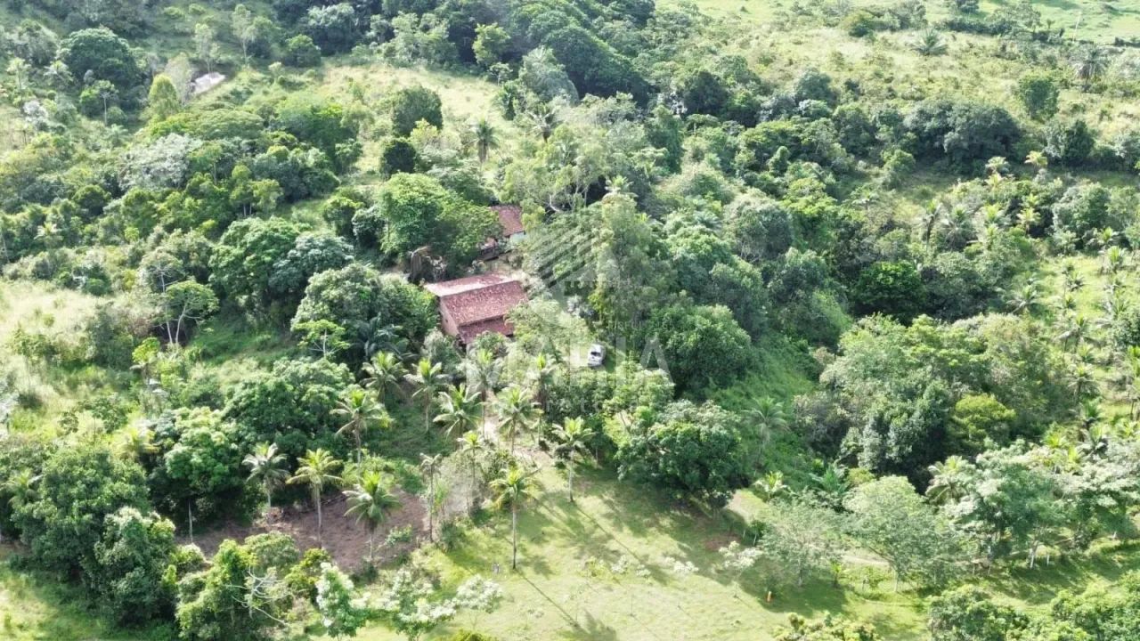 Granja com 08 hectares em São Lourenço da Mata/PE!