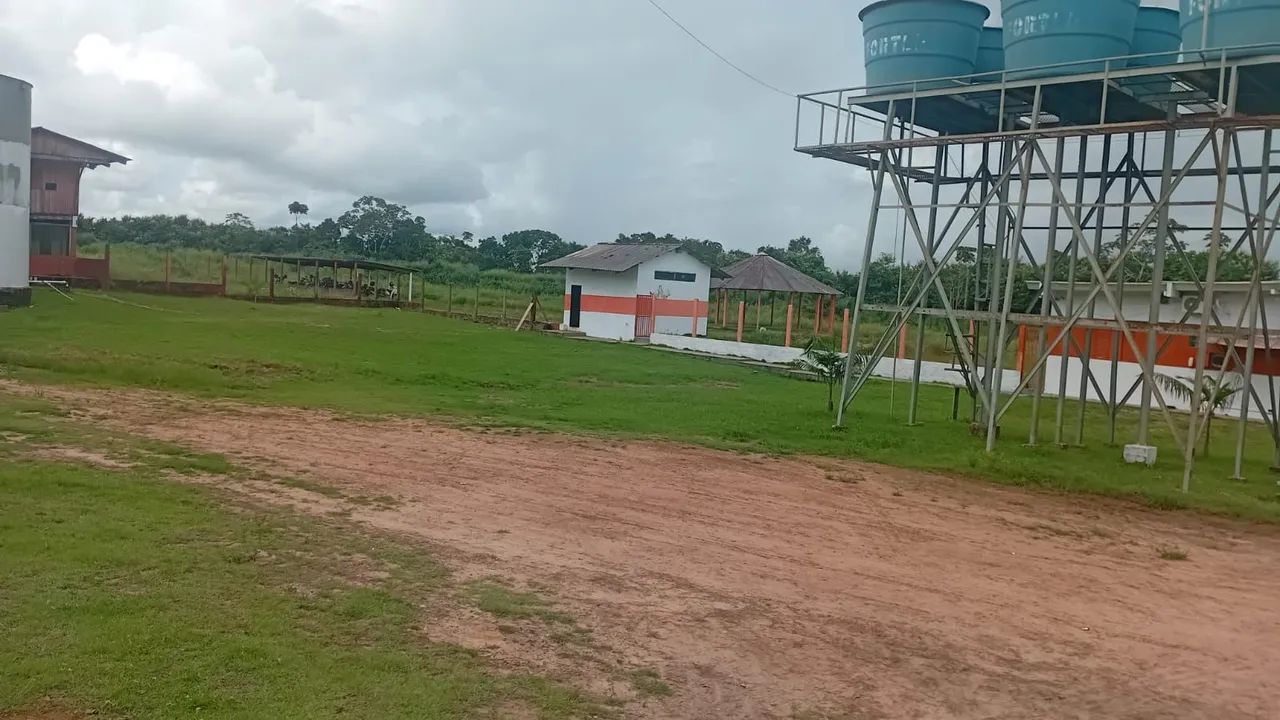 Frigorifico de bovinos - Foto 4