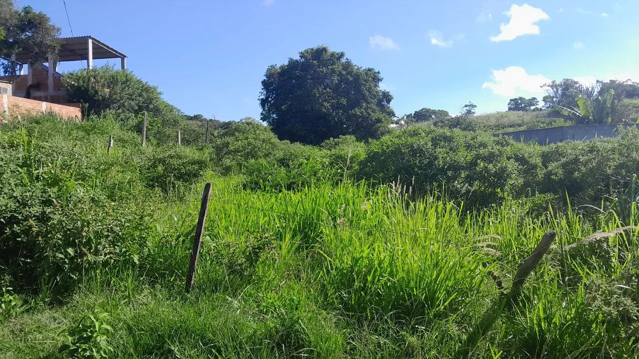Foto - Cabo Frio - Jardim Esperança