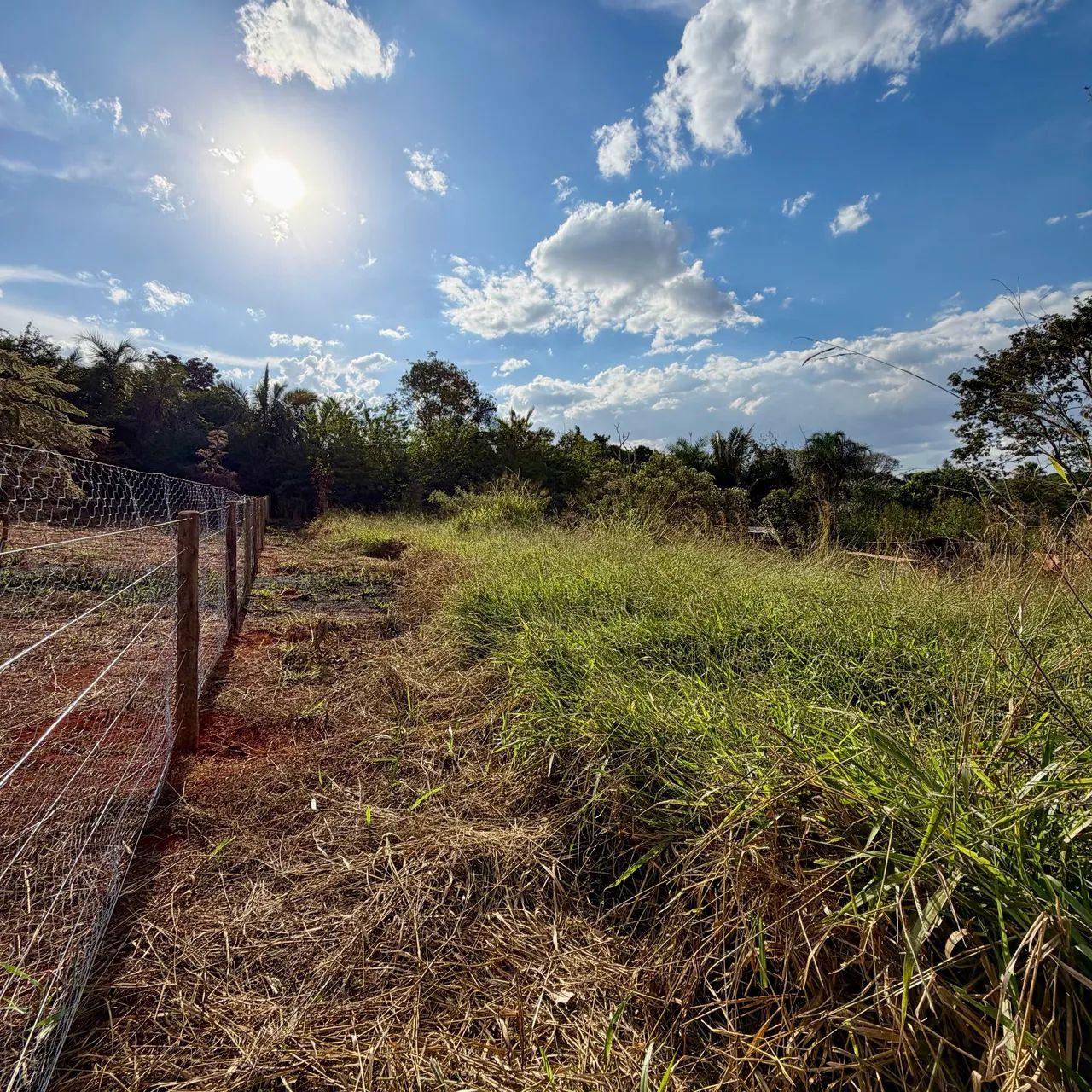 Chácara 2.100m2 com Casa. Em Bonfinópolis-GO - Foto 14