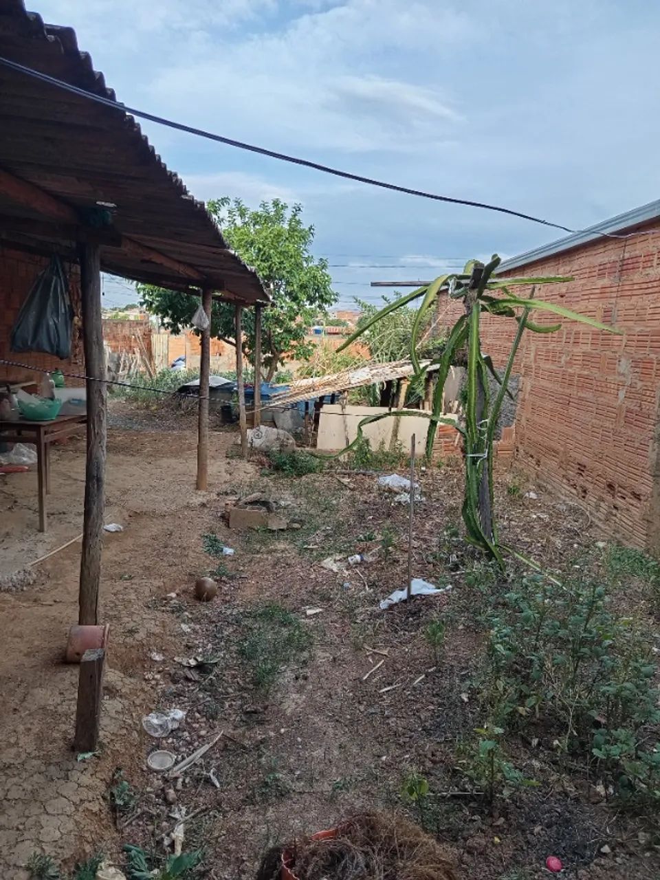 Lote com barracão  - Foto 3