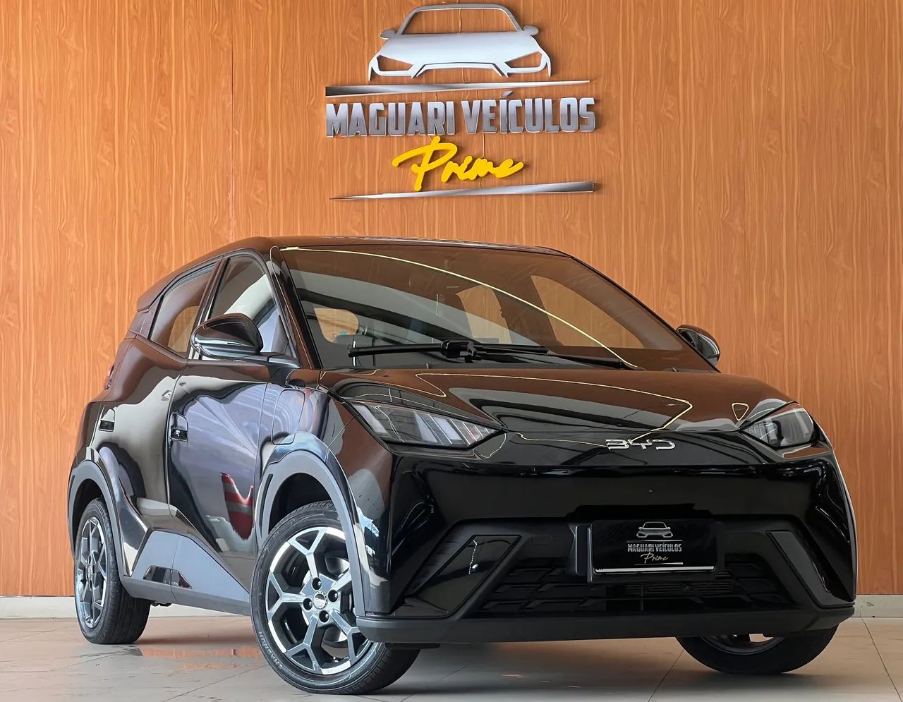 BYD Dolphin GS (Elétrico) 2027